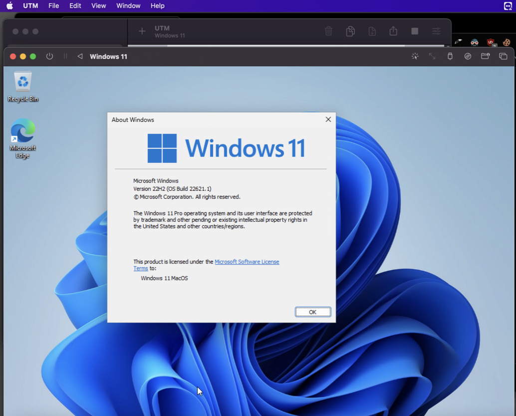 Visualización de la máquina virtual de Windows 11 recién instalada en Mac