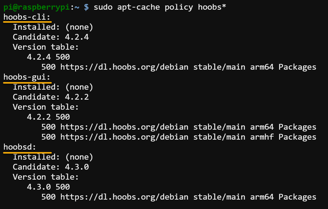 Comprobando las versiones del paquete HOOBS y sus repositorios