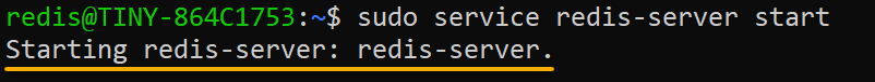 Iniciando el servicio Redis