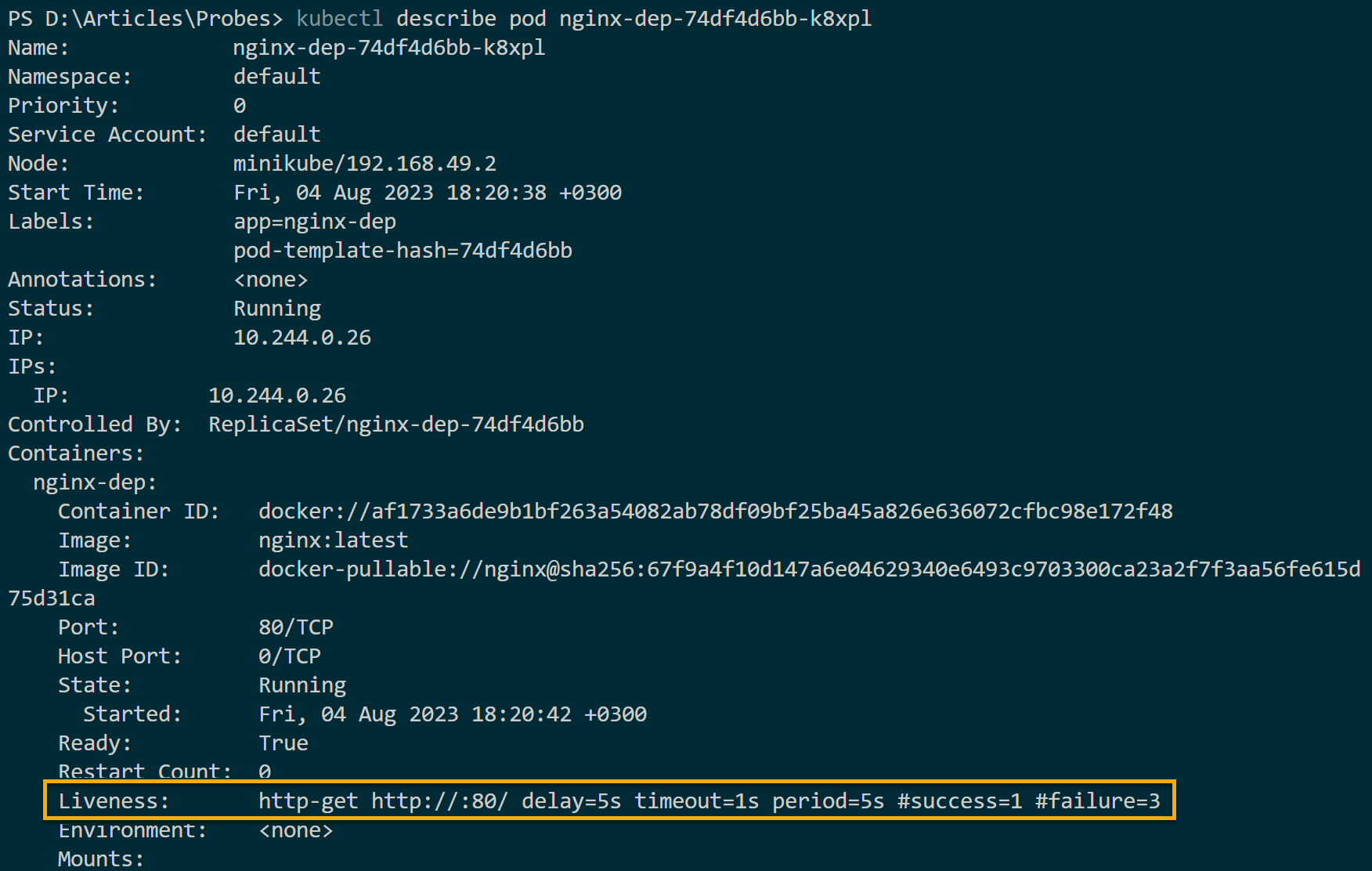 Comprobando si la sonda de vida de Kubernetes se está ejecutando
