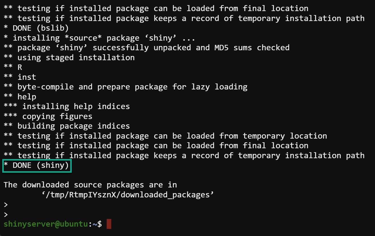 Instalación del paquete Shiny R