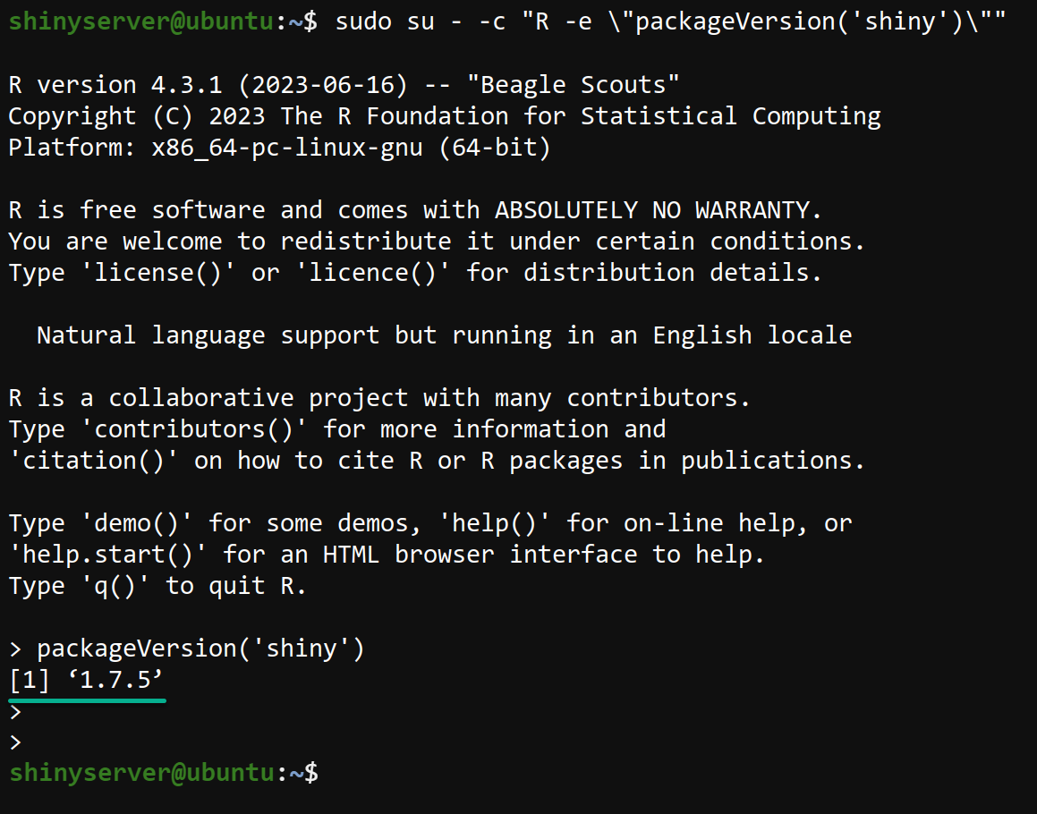 Comprobando la versión instalada actual del paquete Shiny R