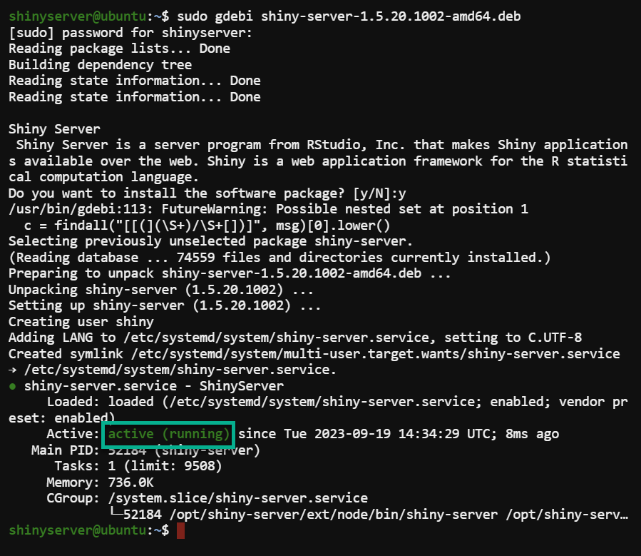 Descarga e instalación del servidor Shiny