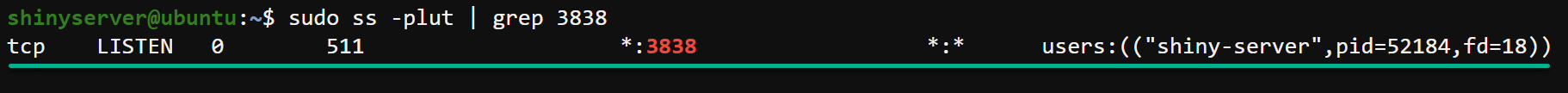 Confirmando que Shiny Server está escuchando activamente en el puerto 3838