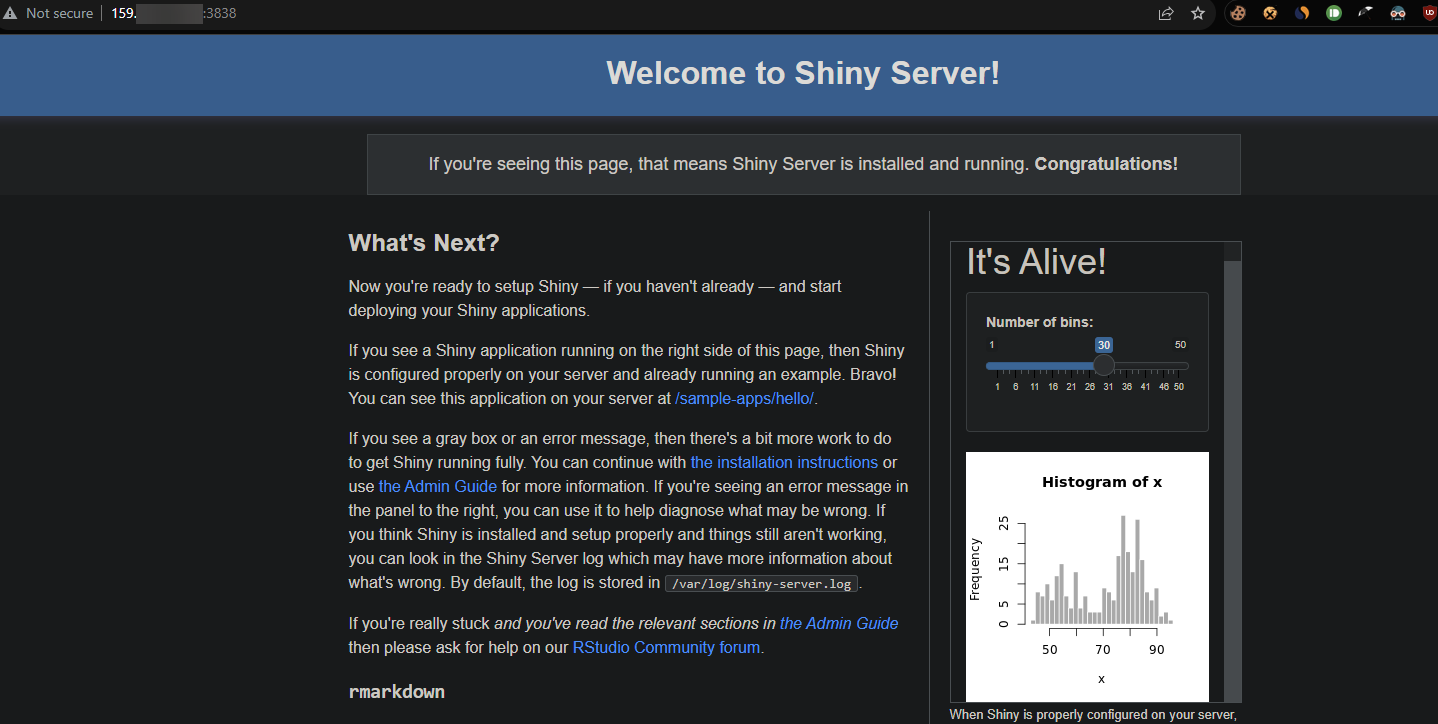 Accediendo al servidor Shiny