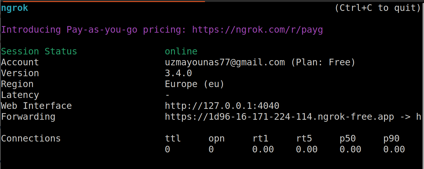 La URL pública junto a la interfaz web es el punto final de la API visible en Internet.