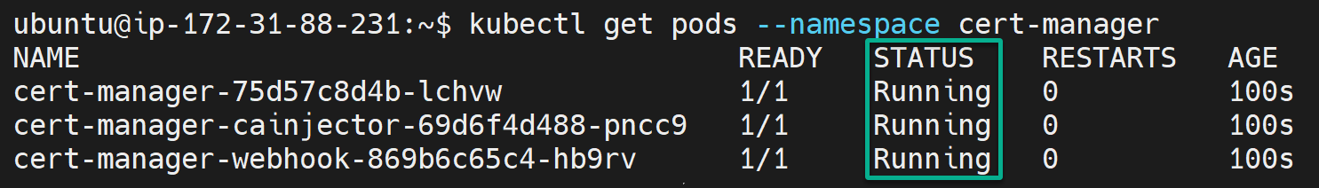 Verificación de los pods del administrador de certificados