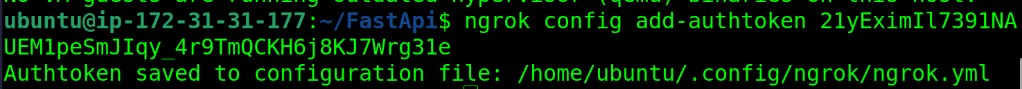 Autenticar al agente ngrok