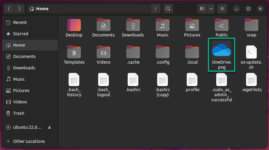 Verificar el logotipo de OneDrive