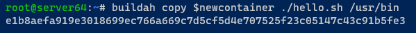 Copiar el script hello.sh al directorio /usr/bin