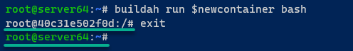 Ejecutar un shell Bash interactivo dentro de un contenedor (contenedor de trabajo)