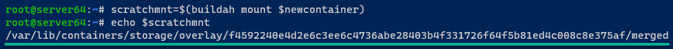 Capturando el punto de montaje del sistema de archivos del contenedor de trabajo