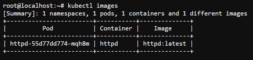 Ejecutando el complemento instalado (imágenes)
