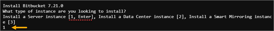 Elegir instalar una instancia de servidor
