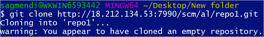 Clonando el repositorio