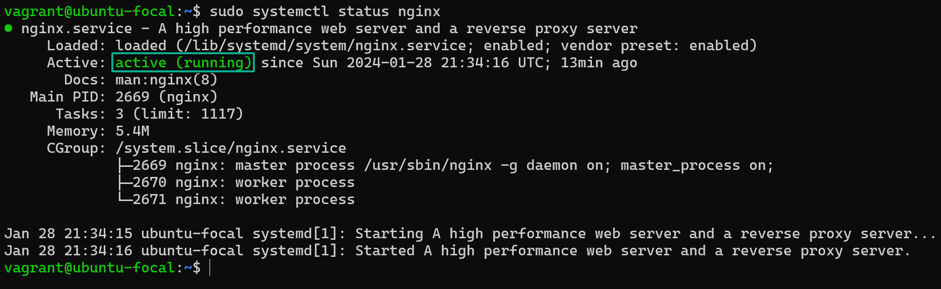 Verificar que NGINX se haya instalado correctamente