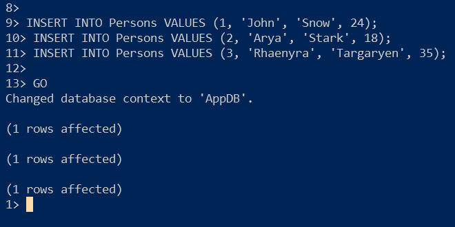 Insertar datos en la tabla Personas dentro de la base de datos AppDB