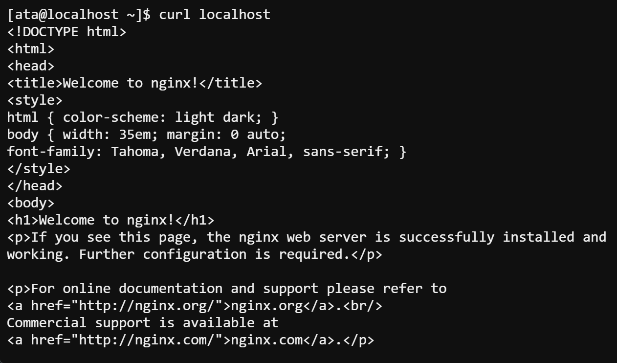 Obteniendo la página NGINX predeterminada