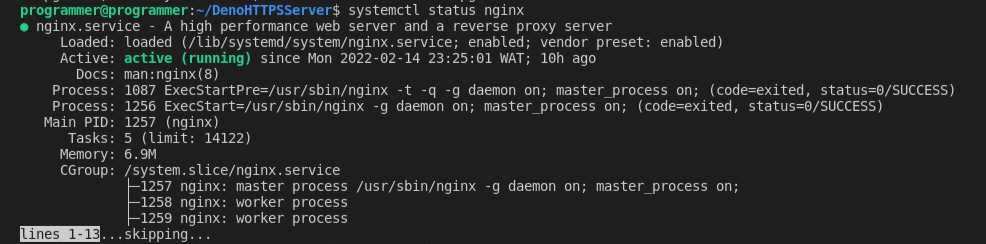 Probando el servidor NGINX